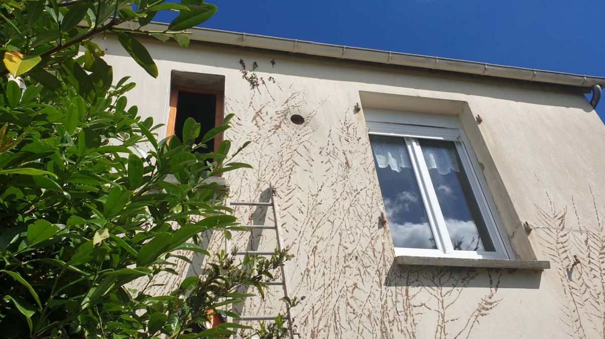 Maison près de Brest présentant les symptômes d'un problème d'humidté